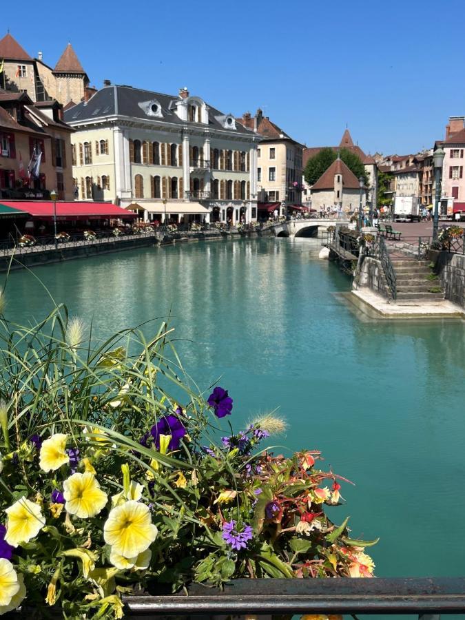 View Point Lake And Mountains Annecy Extérieur photo
