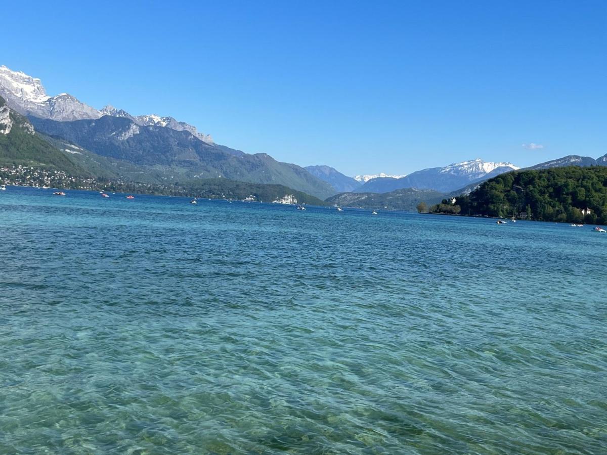 View Point Lake And Mountains Annecy Extérieur photo